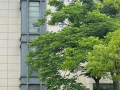 -上海海事大学(临港校区)