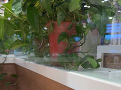-嘉和一品粥(政府街店)