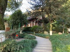 -十八棵（老龙井）御茶园(老龙井店)