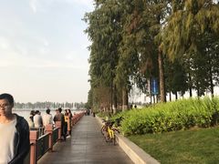 -东湖落雁景区
