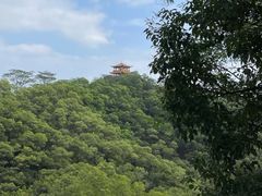 -大屏嶂森林公园
