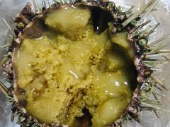 -海胆小馆(东北水饺·春柳店)