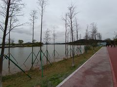 -鹤之洲湿地公园