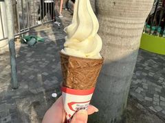 -富豪雪糕车流动点(尖沙咀店)