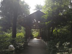 -铁山坪森林公园