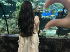 -南昌海洋公园