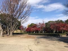 -名古屋城