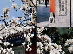 -万寿八仙宫