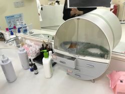 -小珂丽格医疗美容