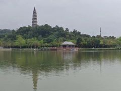 -顺峰山公园