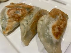 鲜韭菜煎饺-金鼎轩·滋养小餐馆(联想桥店)