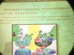 -苏州河梦清园环保主题公园