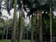 -南宁南湖公园