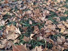 -河南省黄河迎宾馆