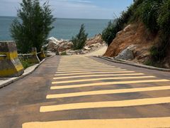 -广东惠东海龟国家级自然保护区