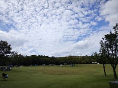 -上海吴淞炮台湾国家湿地公园