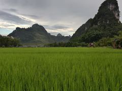 -靖西鹅泉风景区