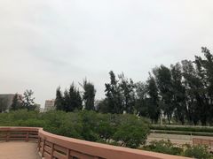 -宝安西湾红树林湿地公园