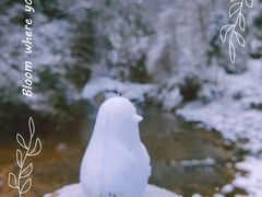 -西岭雪山大飞水景区