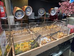 -中央电视塔旋转餐厅