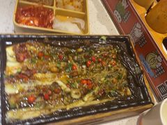 -猫爪爪原切自助烤肉(观音桥阳光世纪店)