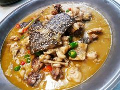 招牌状元藤椒甲鱼牛蛙-十碗(保利店)