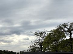 -东莞植物园