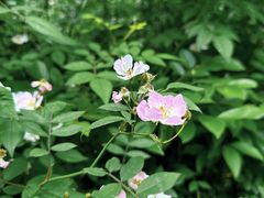 -大蜀山国家森林公园