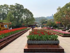 -南山植物园
