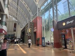 -上海市第一人民医院(松江南部)