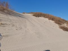 -库伦旗银沙湾旅游景区