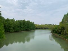 -上海海湾国家森林公园