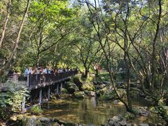 -牛背梁国家森林公园