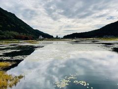 -腾冲北海湿地