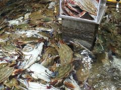 -盒马鲜生(枣园路店)