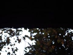 -Fridi Patisserie Cafe