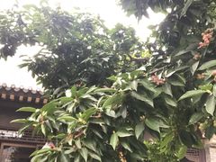 -北京宽沟会议中心