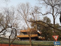 -北京国子监胡同
