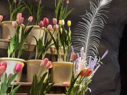 -Zoolung Zoolung动物主题公园(海信广场店)