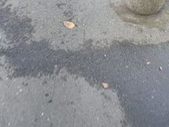 -索拉古贝(义乌北苑店)