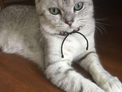 -白箱照相馆·外拍