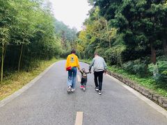 -都江堰中华大熊猫苑