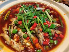 红汤柳根子-樽宴酒楼·地道川菜·品质聚会·生日宴请