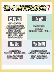 点击看大图 -玛莲朵·海菲秀冰珀科