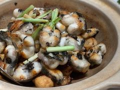 黑松露焗海鳗鱼-悦秀·高级粤菜