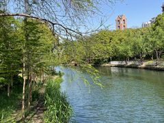 -新江湾城公园