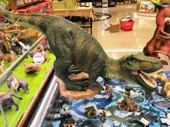 -Behring World of Animals(上海自然博物馆店)