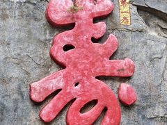 -陕西省红河谷森林公园