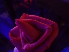 -光阴的故事音乐酒吧(1905店)