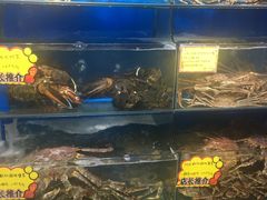-蚝专家(北滘店)